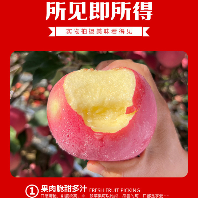 精品陕西延安红富士苹果产地直发质量保证欢迎合作