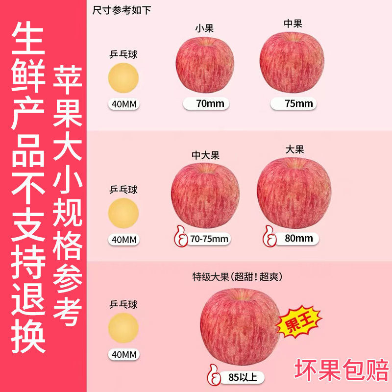 精品陕西延安红富士苹果产地直发质量保证欢迎合作