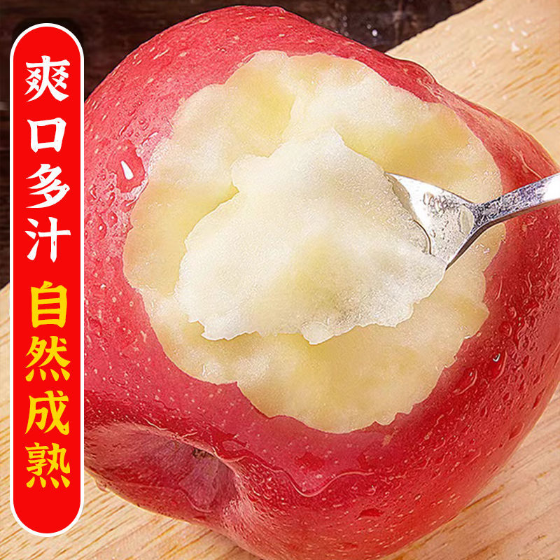 精品陕西延安红富士苹果产地直发质量保证欢迎合作