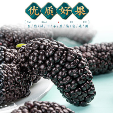 桑葚干新疆桑葚果桑葚子即食正宗黑桑葚干免洗泡水食用无沙桑