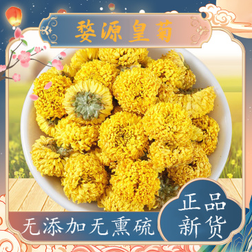 江西婺源皇菊姿源无硫大黄菊批发菊花茶晓起皇菊泡水优质
