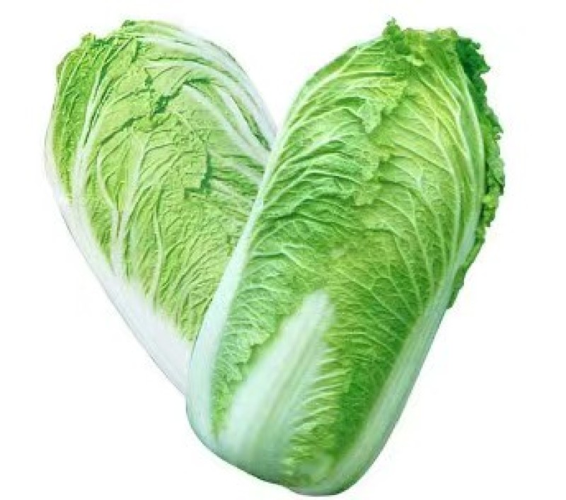 白菜大白菜北京新3号白菜基地发货保障质量实力