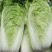 白菜大白菜北京新3号白菜基地发货保障质量实力