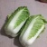 白菜大白菜实力有货一手货源货源充足基地发货