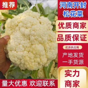 松花菜有机花菜开封菜花青梗白面量大优惠实力供货