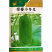 绿皮小冬瓜种子早熟春秋栽培空腔小早春小冬瓜节节有瓜