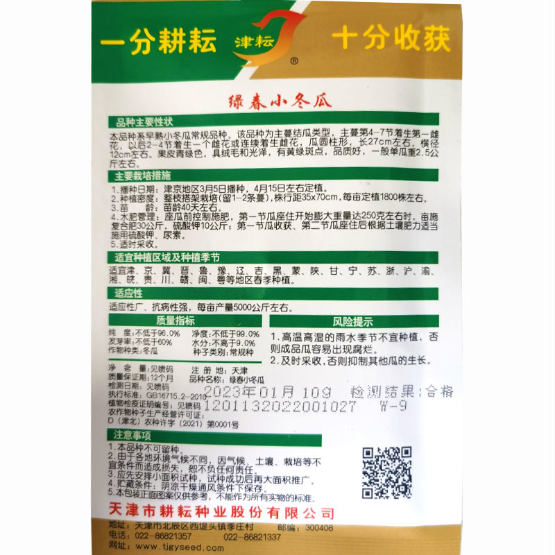 绿皮小冬瓜种子早熟春秋栽培空腔小早春小冬瓜节节有瓜