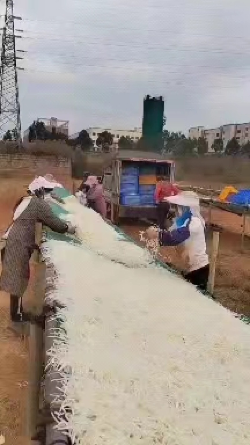 萝卜丝6x6大量出货量大从优欢迎来电咨询选购