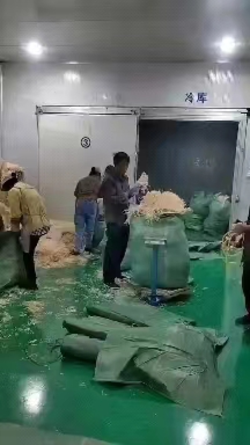 萝卜丝6x6大量出货量大从优欢迎来电咨询选购