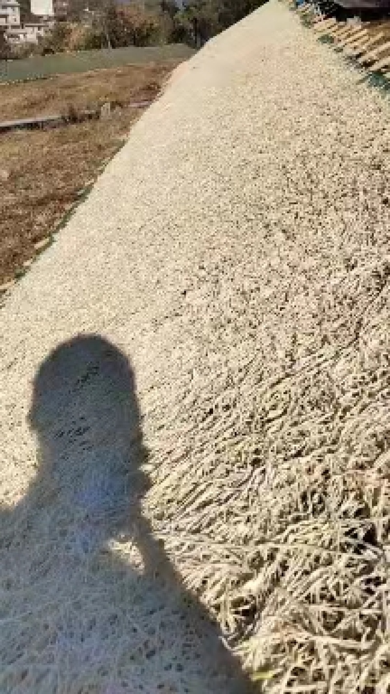 萝卜丝6x6大量出货量大从优欢迎来电咨询选购
