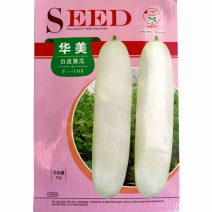 白皮黄瓜种子耐热清甜无渣水果型耐热早熟适应性广春秋