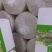 绿豆传统工艺，纯手工制作无任何添加剂，天然纯绿豆粉皮！