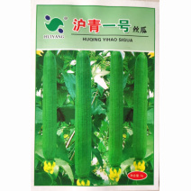 杂交丝瓜种子肉质细嫩节节有瓜瓜条顺直产量高早春露地大棚