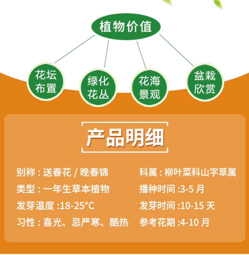 古代稀种子四季开花易播种的送春花种子阳台庭院盆栽花海绿植