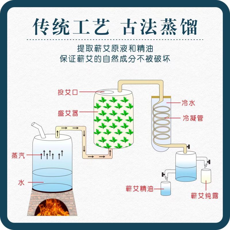 天然艾草精油，植物萃取现货供应全国发货厂家