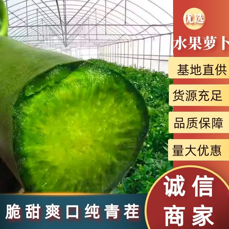 山东青萝卜水果萝卜潍县萝卜脆甜爽口纯青茬包装齐全