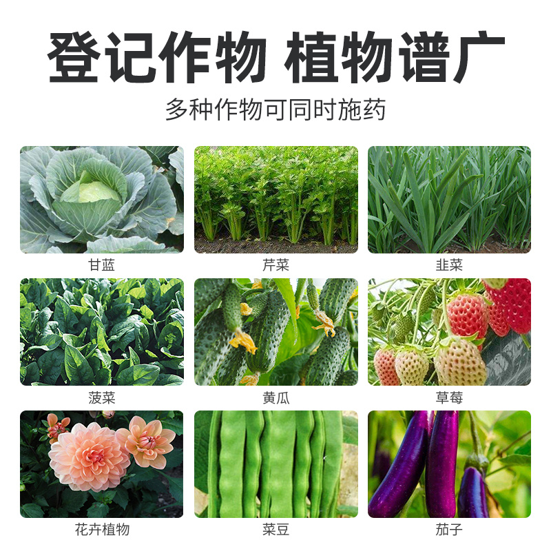 腐霉百菌清灰霉病霜霉病白粉病蔬菜花卉草莓杀菌剂农药烟雾剂