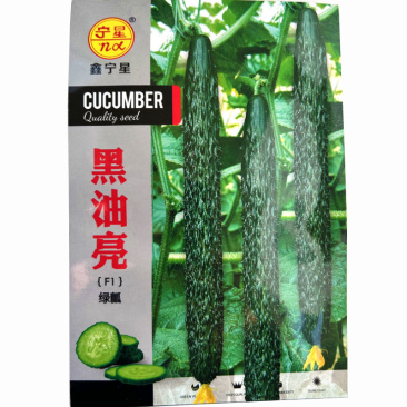 黄瓜种子黑油亮油亮绿肉深绿色绿瓤瓜条顺直春秋栽培