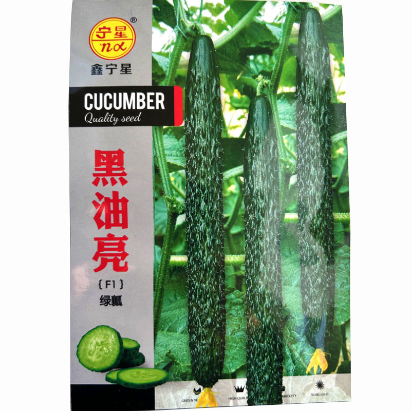 黄瓜种子黑油亮油亮绿肉深绿色绿瓤瓜条顺直春秋栽培