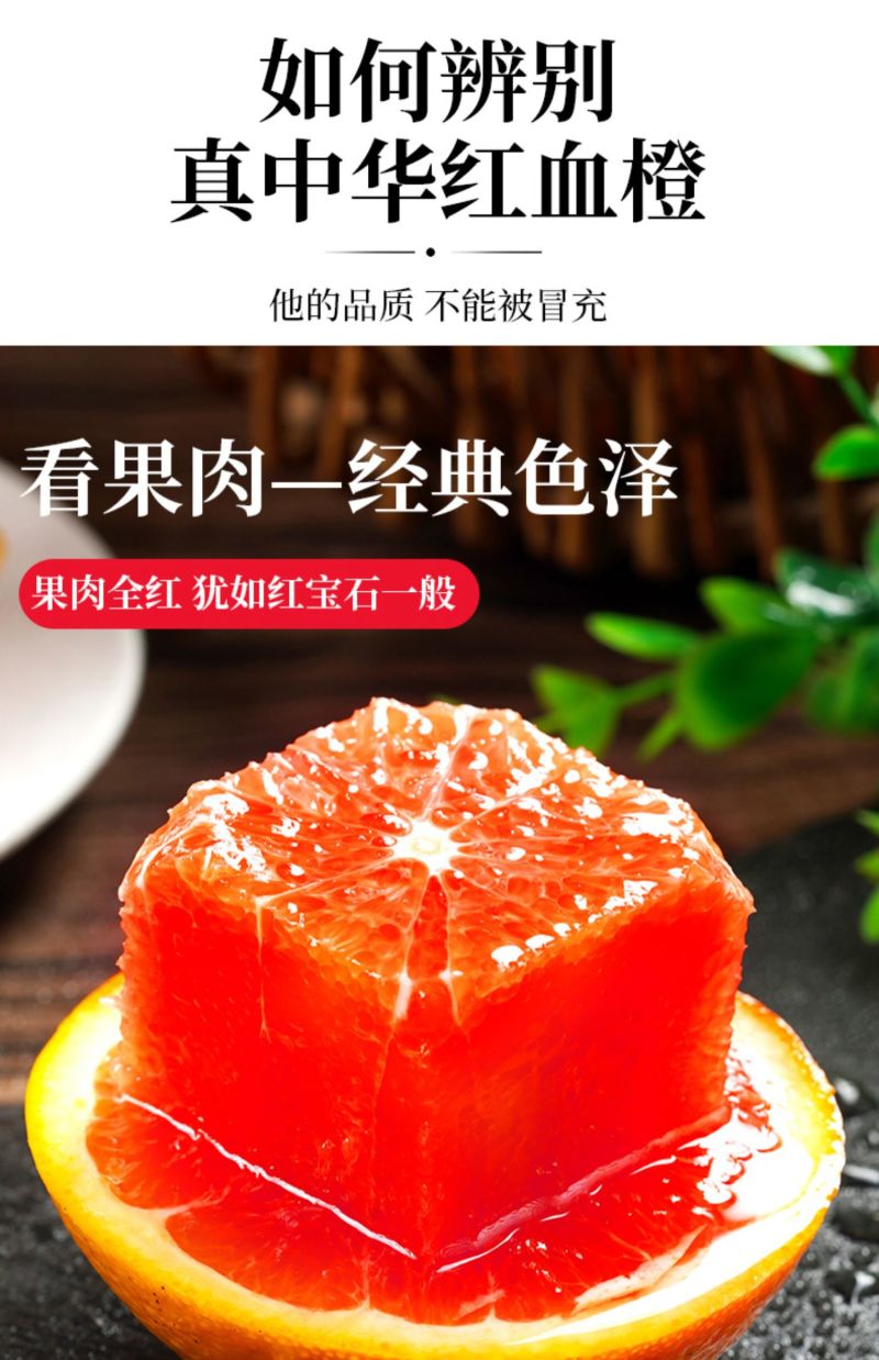 血橙中华红血橙新鲜采摘酸甜口感欢迎电话联系