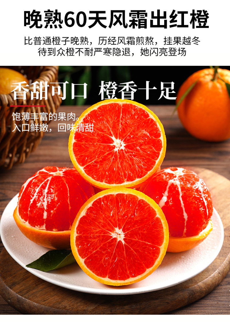 血橙中华红血橙新鲜采摘酸甜口感欢迎电话联系