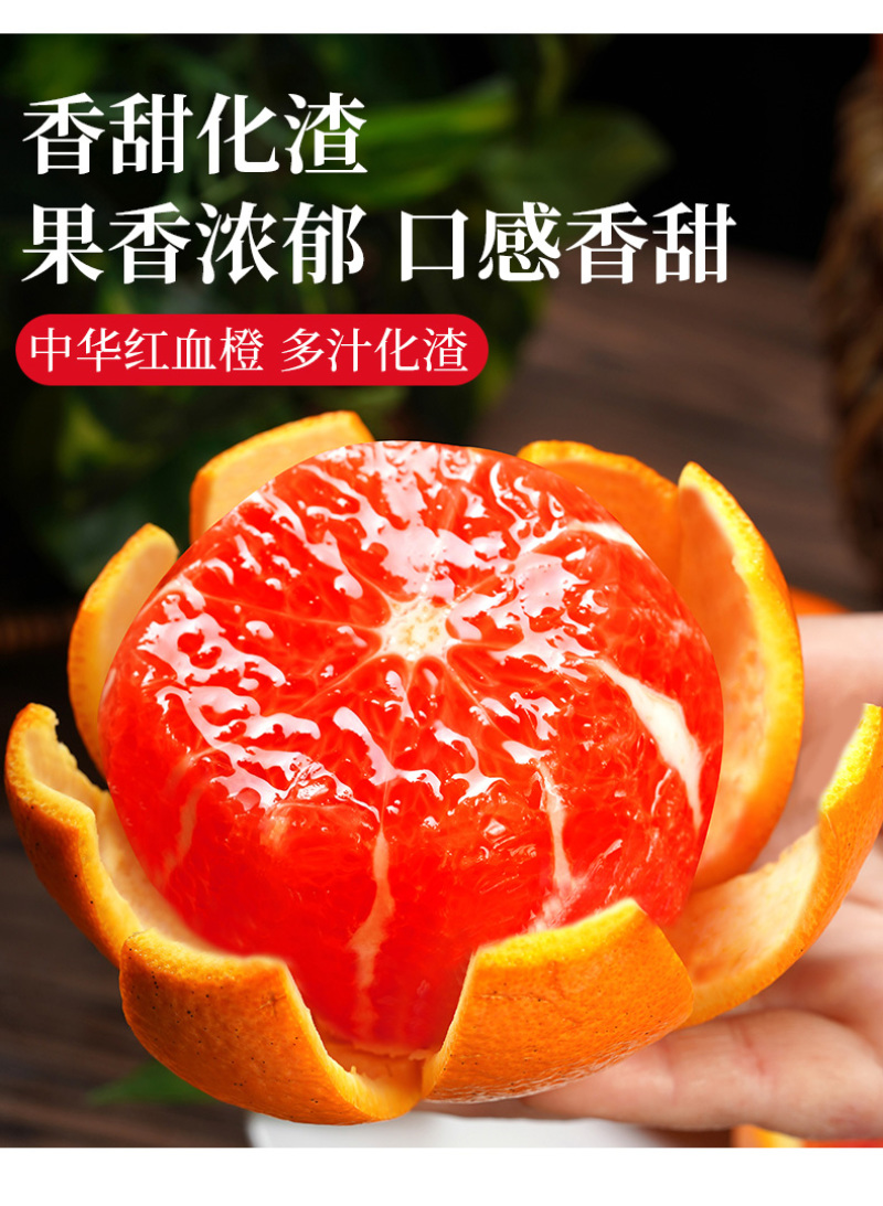 血橙中华红血橙新鲜采摘酸甜口感欢迎电话联系