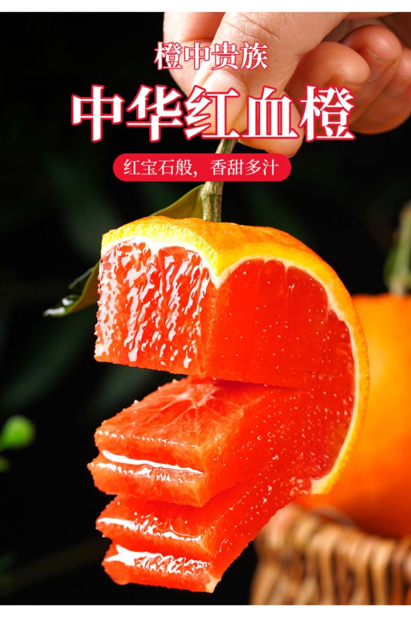 血橙中华红血橙新鲜采摘酸甜口感欢迎电话联系