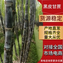 广西玉林博白县黑皮甘蔗种植基地，欢迎各地老板来收购