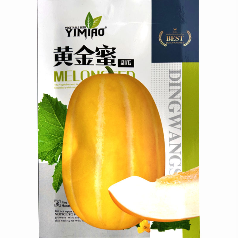 甜瓜种子黄金蜜皮薄肉厚高甜脆甜高产中早熟黄白肉