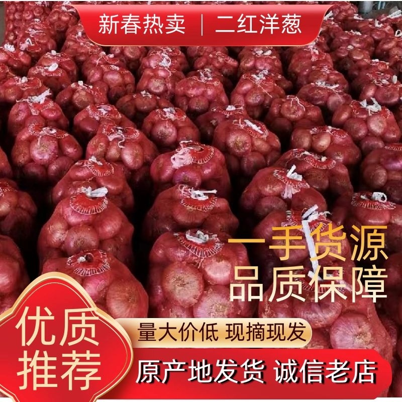【精选】东昌府区二红洋葱大量上市中一手货源源头商家详细电联
