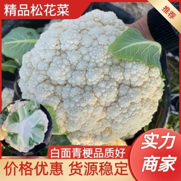 温州菜花有机花菜大量上市青梗白面小米粒货量充足包您满意