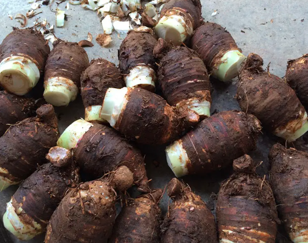 两张并列展示的芋头样品,左侧为正宗荔浦芋头,外形粗壮呈纺锤形,表皮粗糙有深色斑点;右侧为普通水芋,形状较细长,颜色偏浅,切面左侧显示明显的紫红色放射状纹理,右侧则颜色均匀无斑纹,背景为农贸市场木质摊位 市场中摆放的荔浦芋头与普通芋头对比图