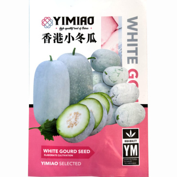 香港小冬瓜种子实心肉质细腻瓜腔较小基地大田选种