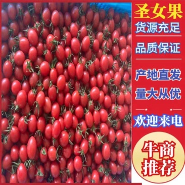 圣女果供电商平台.社区团购。自有基地货源稳定欢迎来电咨询