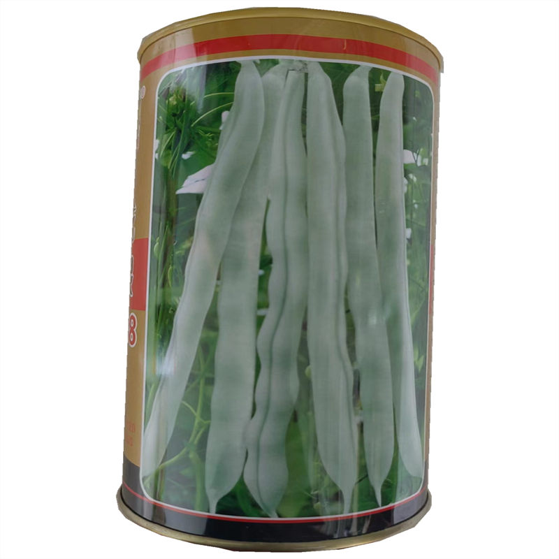 九粒白芸豆种子早熟龙泉968高产扁豆种子摘不败老来少豇豆