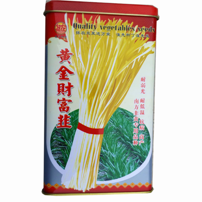 韭黄种子黄金财富韭抗寒茎秆银白辣味浓高产基地选