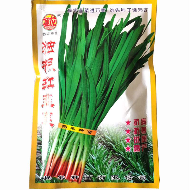 宝福韭红红根韭菜种子宽叶紫根250克高产香味浓