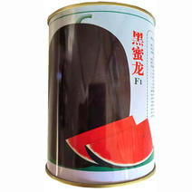 黑皮西瓜种子大红瓤薄皮耐裂抗重茬粒含糖量高原装