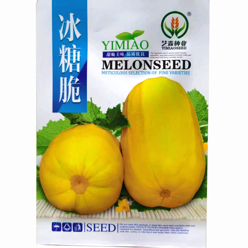 冰糖脆甜瓜种子早熟肉质脆甜瓜种子黄皮早熟口感好肉质脆