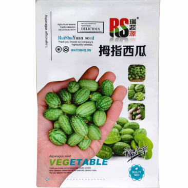 拇指西瓜种子早熟结果多果型小迷你水果种子基地选