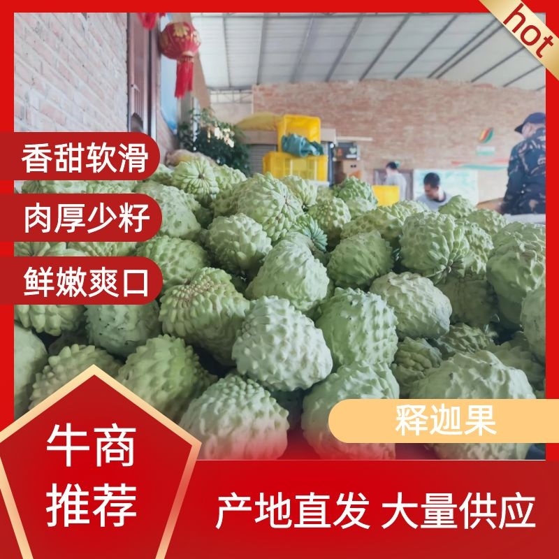云南释迦果/凤梨释迦/