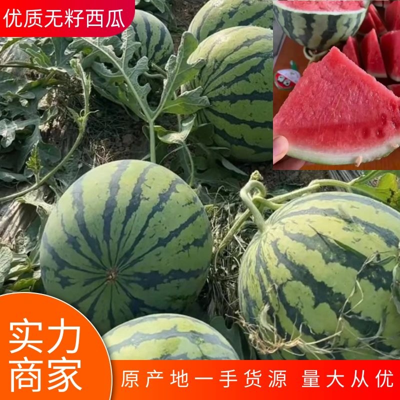 [美都西瓜批发]河南商丘夏邑县西瓜 0.60元/斤精品无籽美都西 _ 一亩田