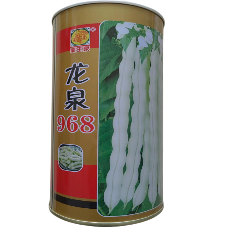九粒白芸豆种子早熟龙泉968高产扁豆种子摘不败老来少豇豆