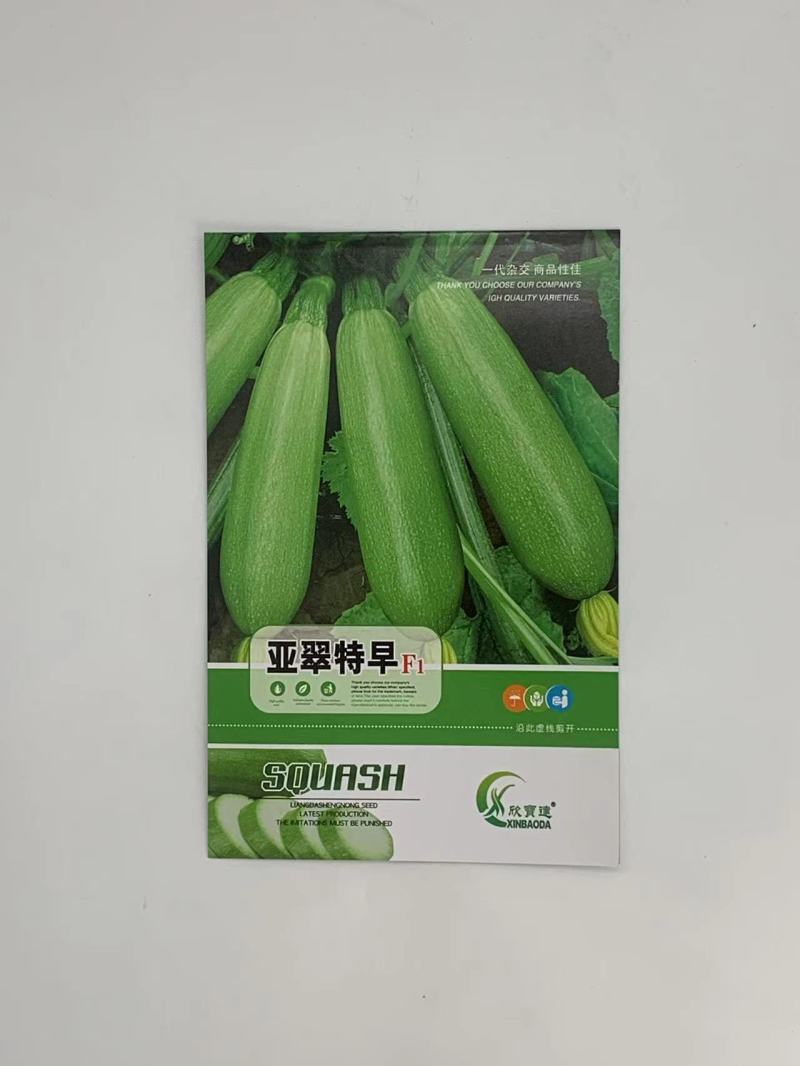 亚翠特早西葫芦种子连续做瓜能力强产量高耐储运耐低温
