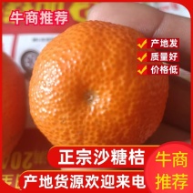 沙糖桔，广西荔浦沙糖桔，专业代收优质正宗沙糖桔，洗果打腊