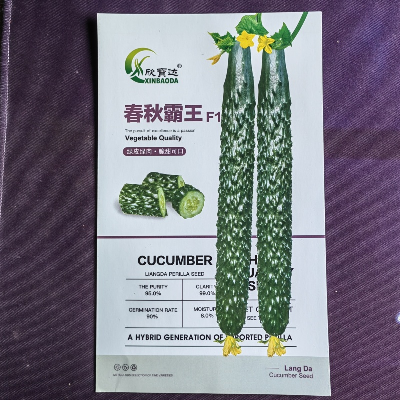 春秋霸王黄瓜种子果肉绿色质密清香耐干旱耐低温植株生长势强