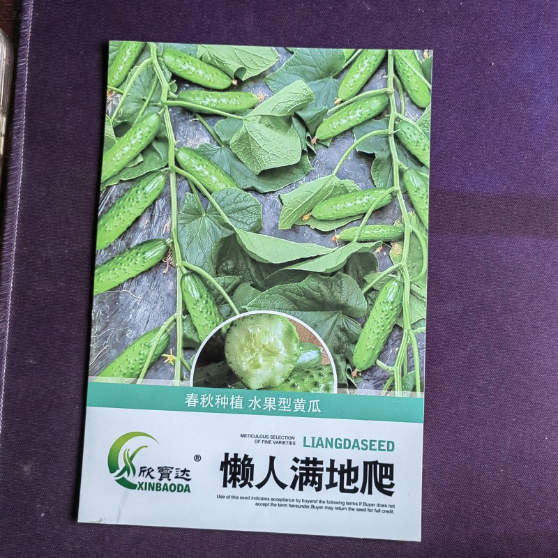 懒人满地爬水果黄瓜种子春秋种植中早熟生长势强抗病性好