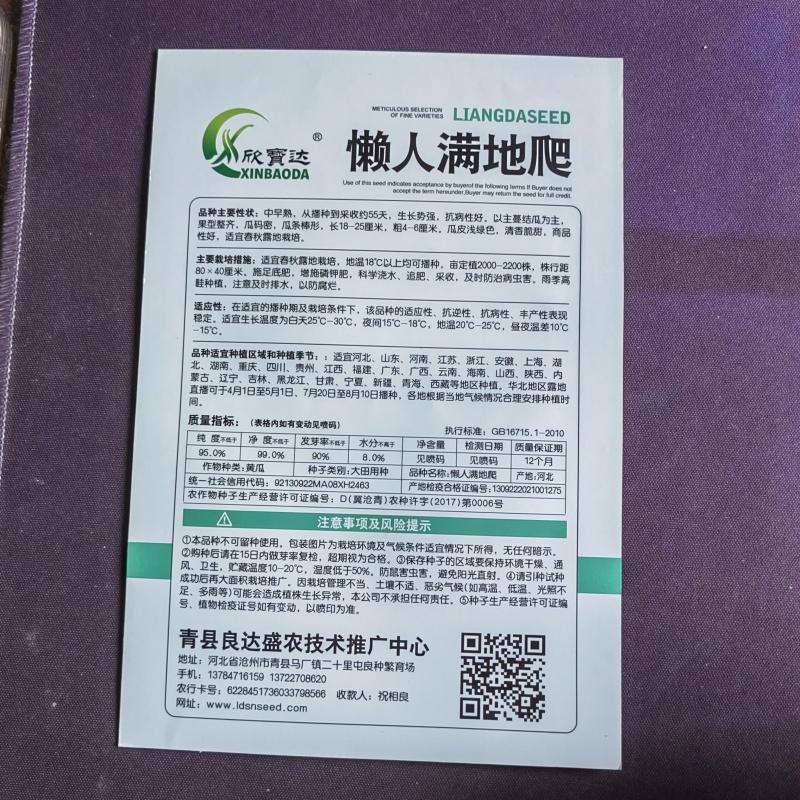 懒人满地爬水果黄瓜种子春秋种植中早熟生长势强抗病性好