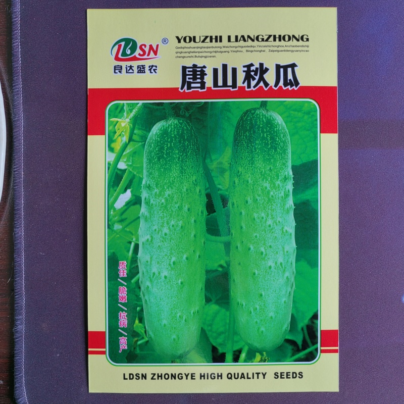唐山秋瓜黄瓜种子质佳脆嫩抗病高产肉质脆嫩口感清香抗病耐热