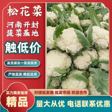 松花菜商超品质，提供物流发全国，欢迎咨